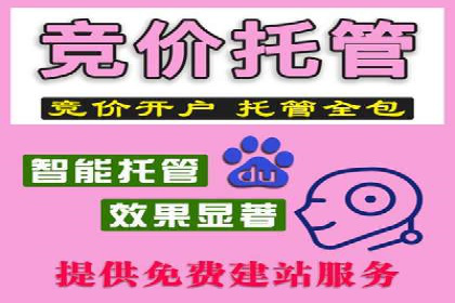 百度竞价广告代运营策略：某品牌实现精准营销的秘诀